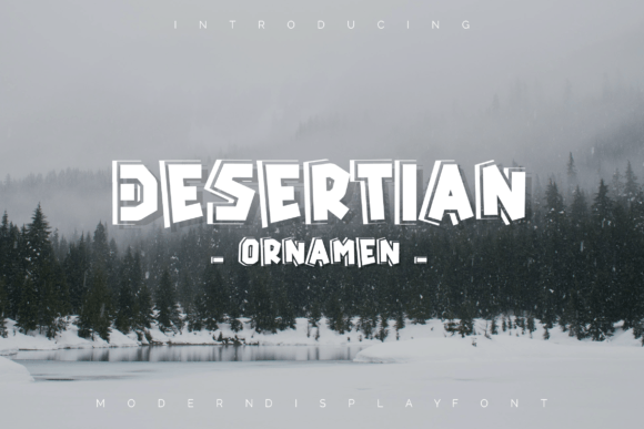 Desertian Ornament: A Cool Modern Display Typeface for Creatives