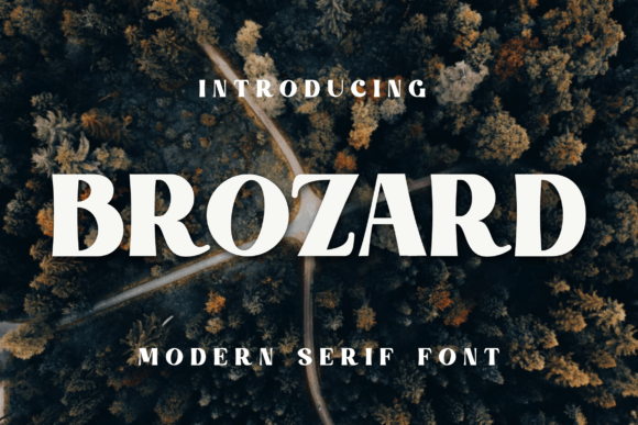 How Brozard Became Our Campaign's Secret Weapon