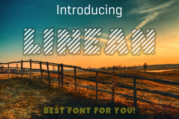 Linean: A Display Font Built for Campaign Visibility